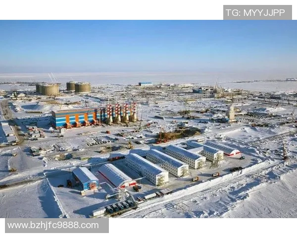 亚马尔地区的能源战略与全球气候变化的应对之道